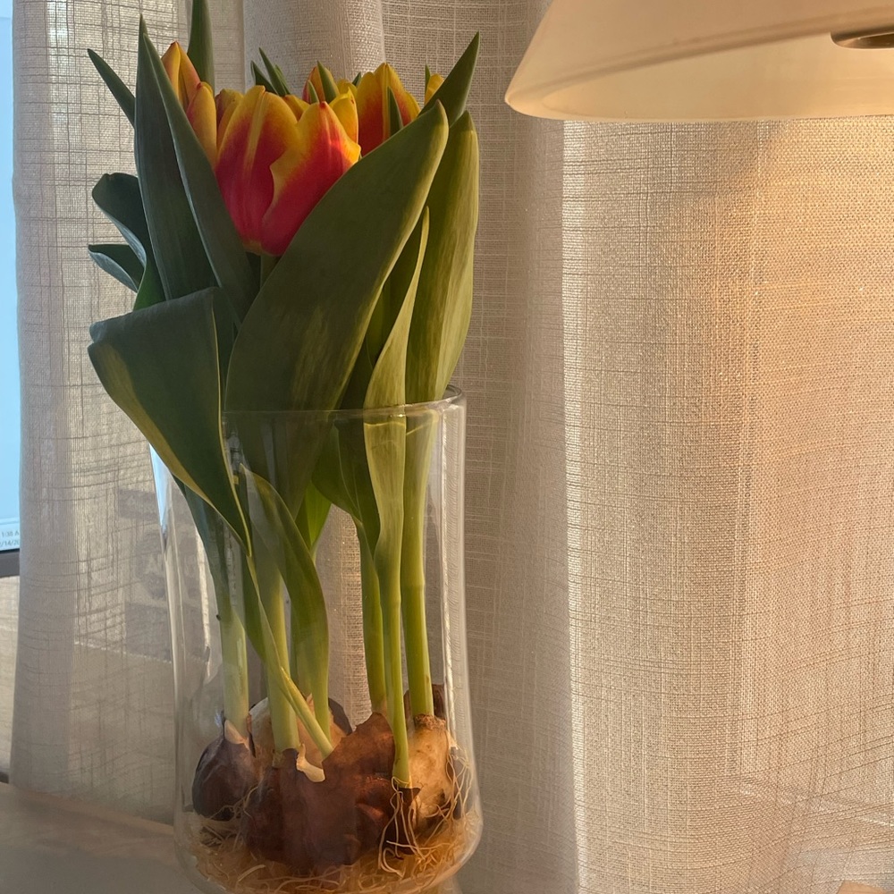 Meet your Posher, Autumn